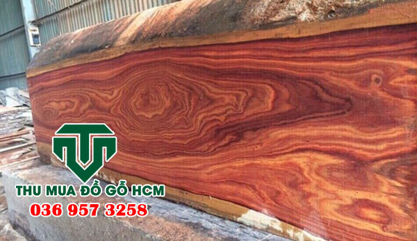 Cây gỗ cẩm lai cực nặng 