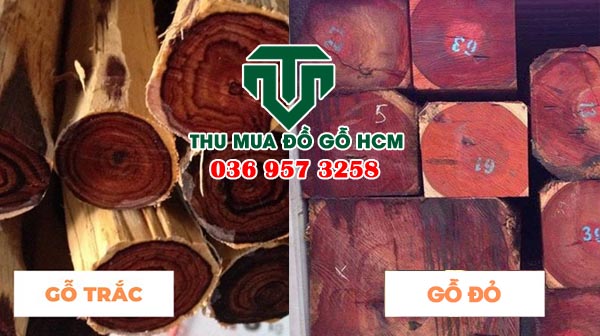 Cách phân biệt gỗ trắc và gỗ đỏ tại thumuadogocuhcm.vn