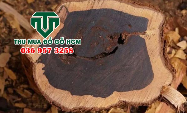 Hình ảnh vân gỗ trắc đen 