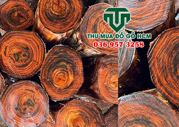 Thớ và vân gỗ trắc vàng tự nhiên  