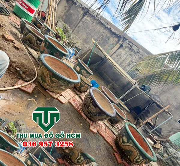 Khách hàng bỏ chậu cây xưa khi không còn sử dụng trên sân thượng  