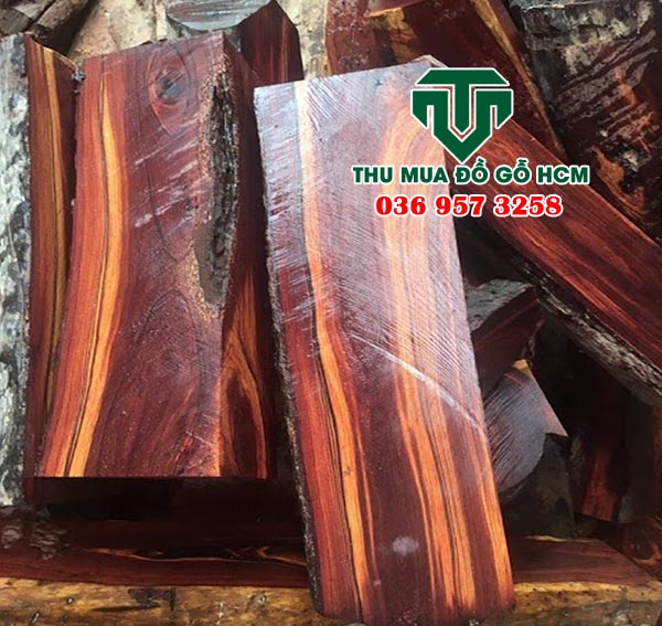 Thu mua các khối gỗ trắc